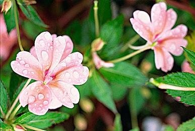 《星际战甲》新开放世界“双衍悖论”4月27日上线